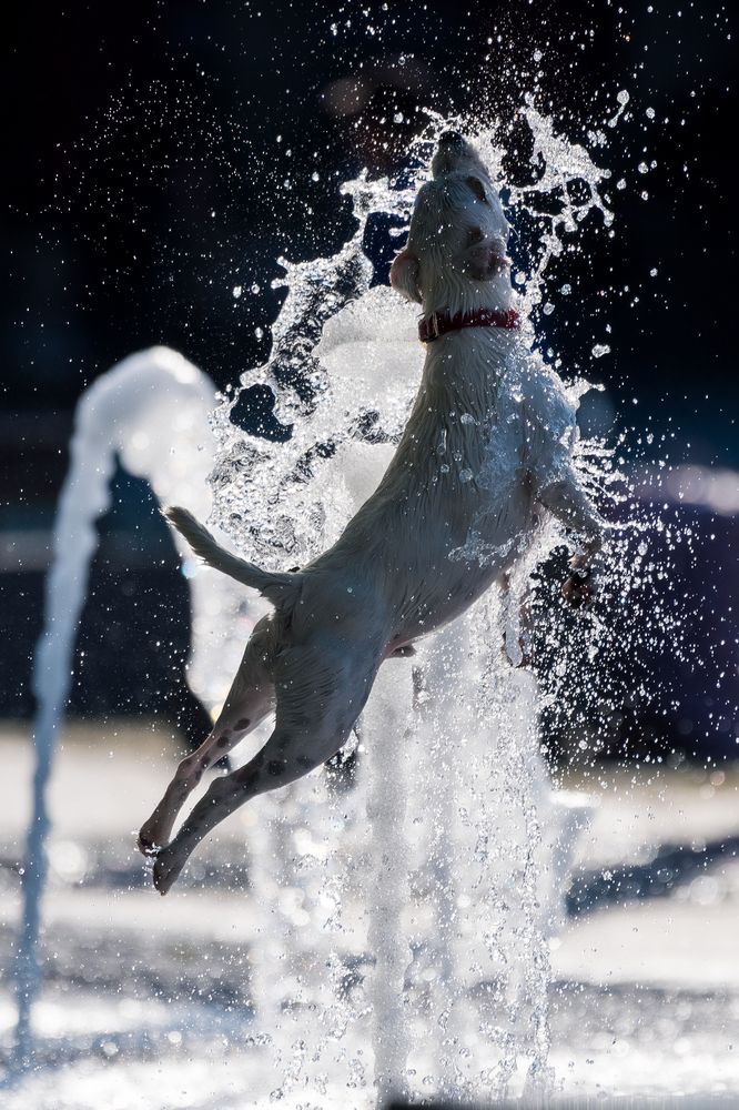 Photograph by Alin Bicas