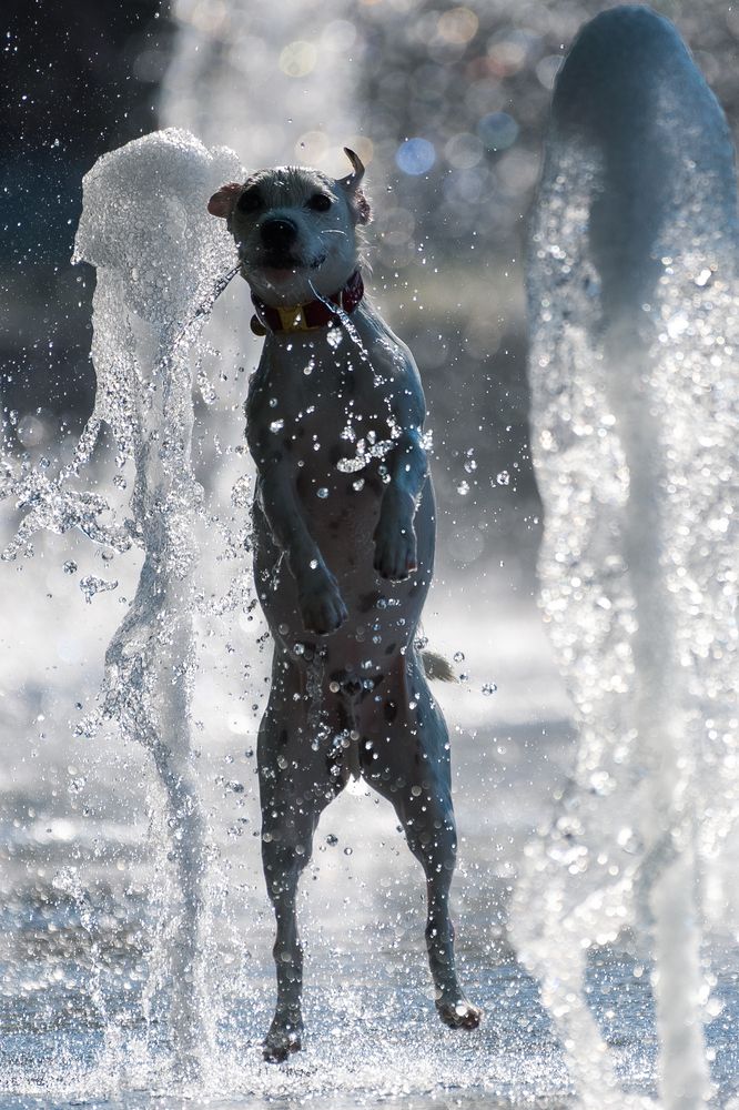 Photograph by Alin Bicas