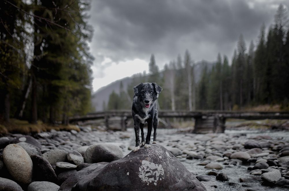 Photograph by Дарья