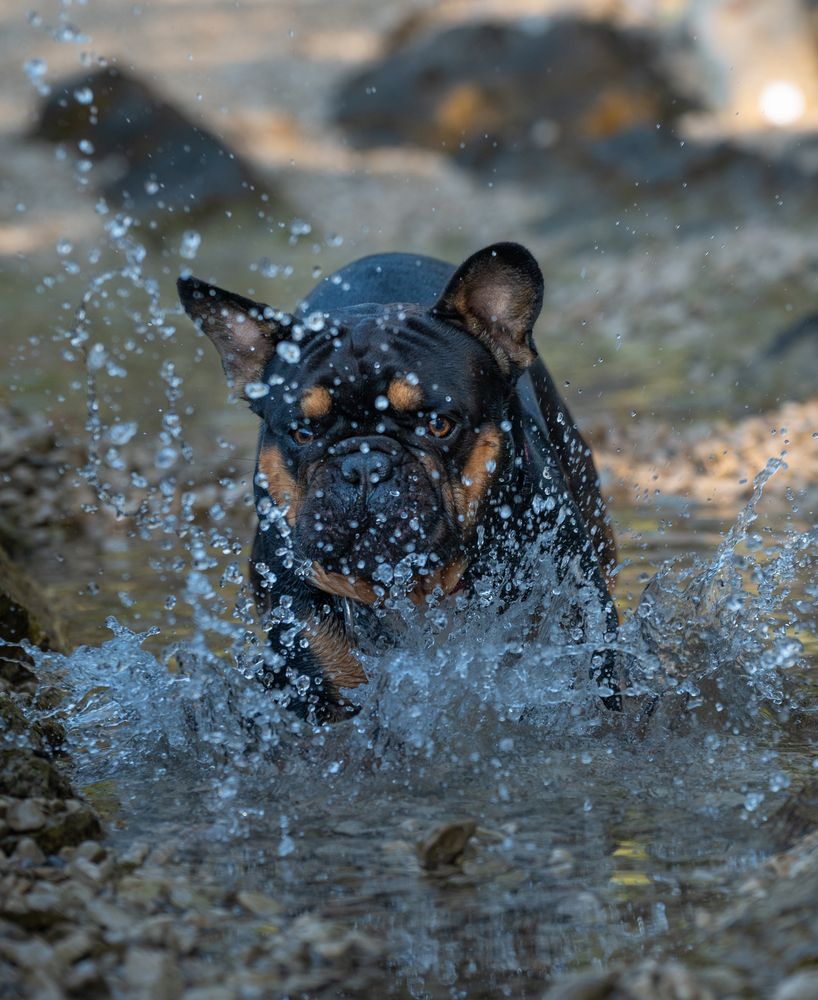 Photograph by Radenko Malić