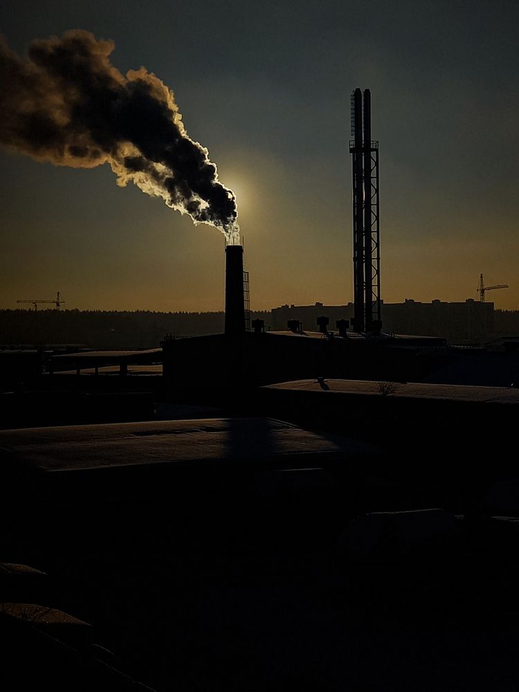 Photo #12455457