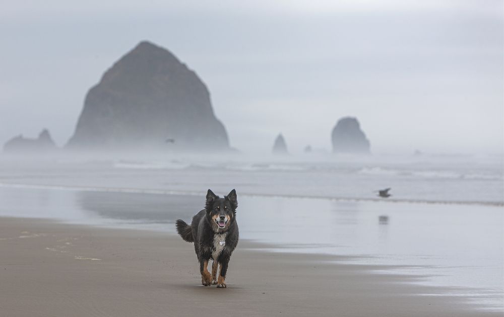 Photograph by Анатолий Макоедов