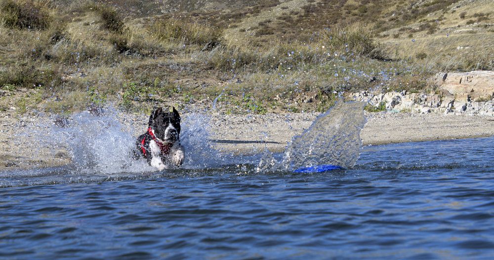 Фотография автора Андрей Жданов