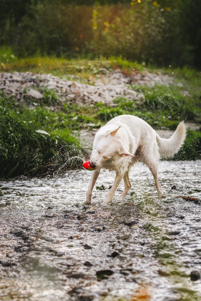 Фотография автора Марина Дятлова