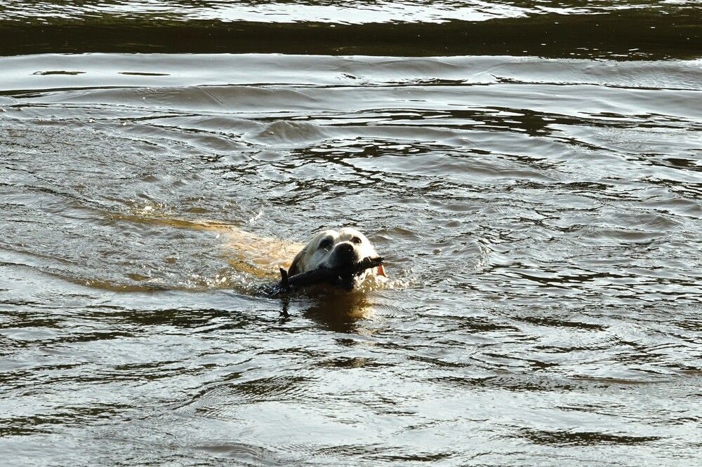 Photograph by jelena konickaja