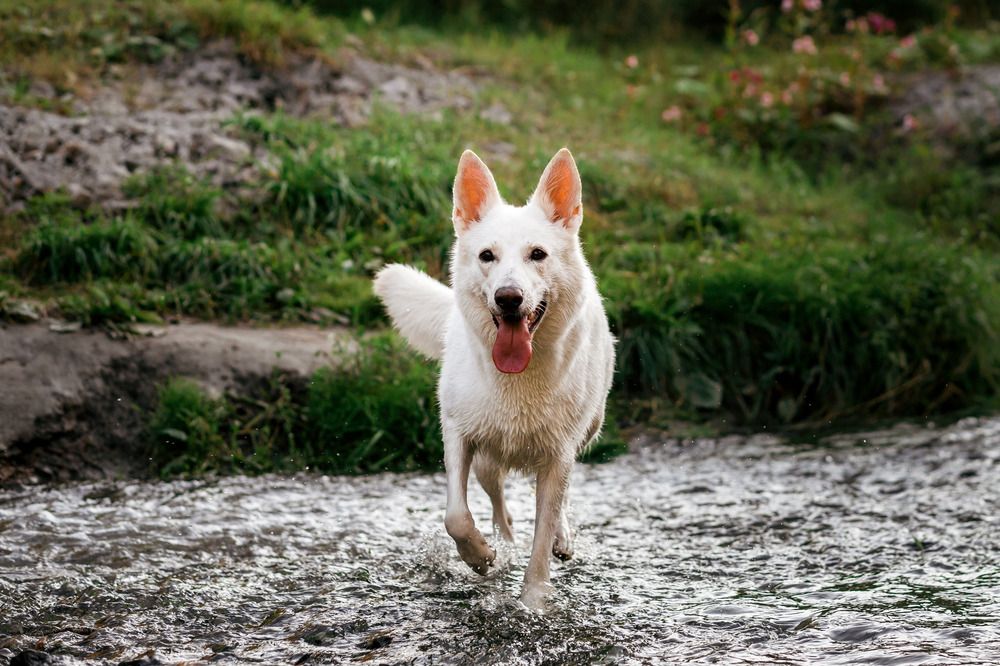 Фотография автора Марина Дятлова
