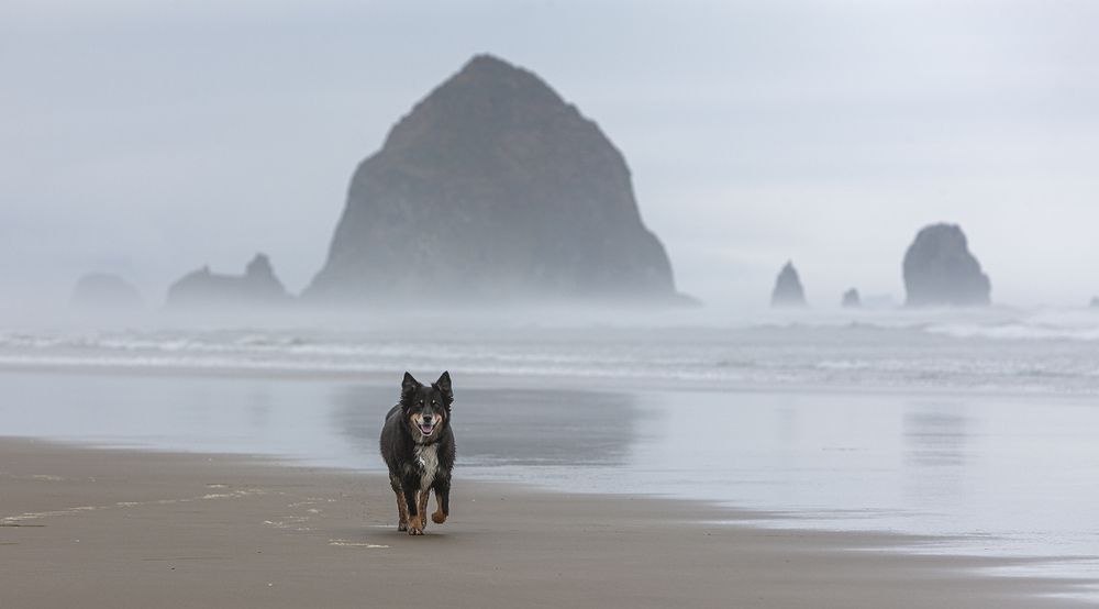 Photograph by Анатолий Макоедов