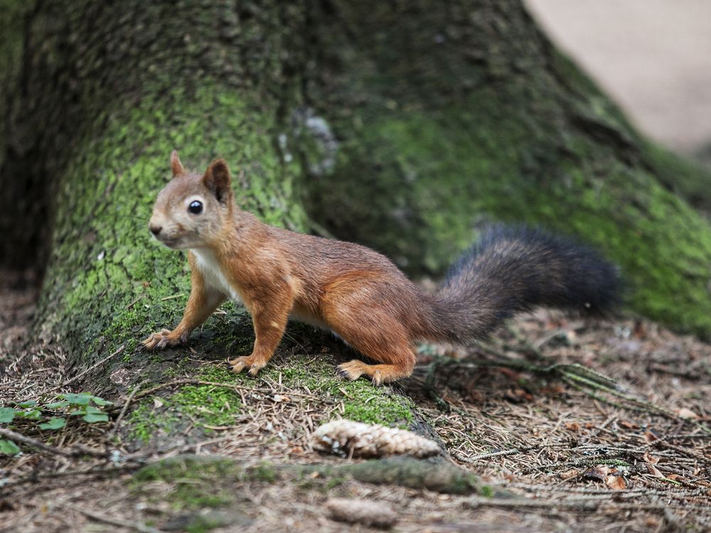 Photograph by Лолита Богачева