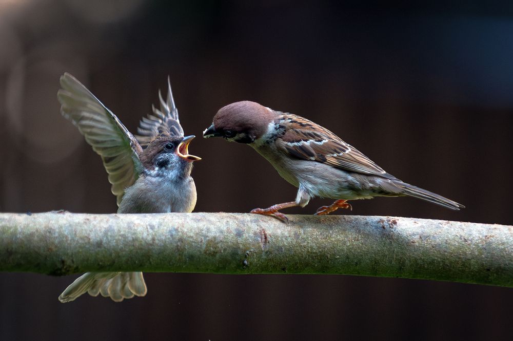 Photograph by Юрий Михайлович Головкин