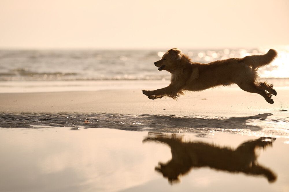 Photograph by Maja Esch