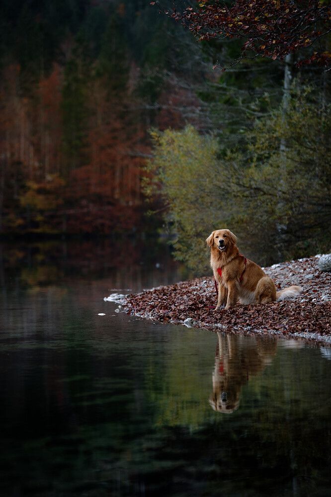 Photograph by Maja Esch