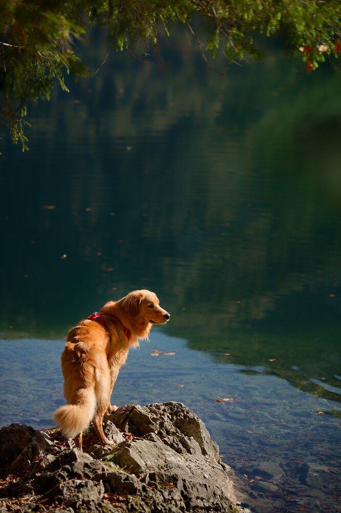 Photograph by Maja Esch