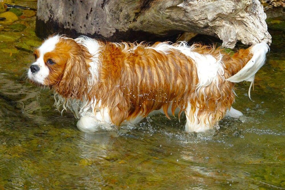 Photograph by jelena konickaja