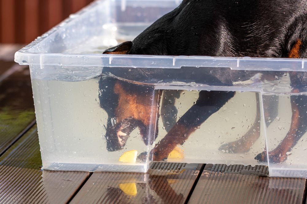 Photograph by Кирилл Ермолаев