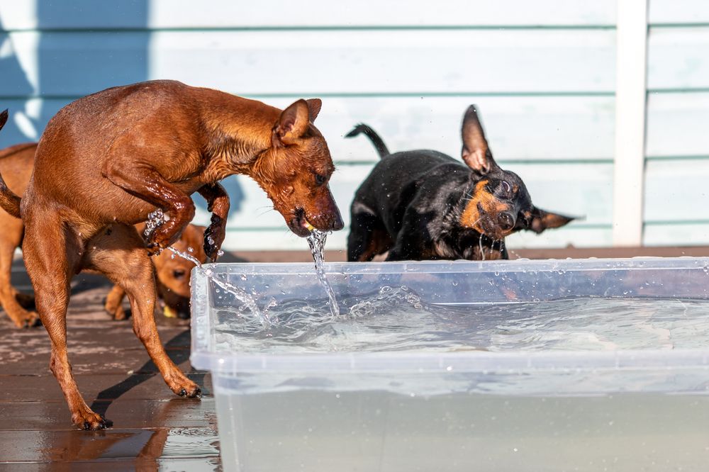 Photograph by Кирилл Ермолаев