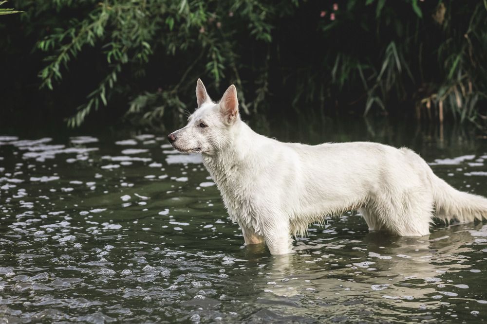 Фотография автора Марина Дятлова