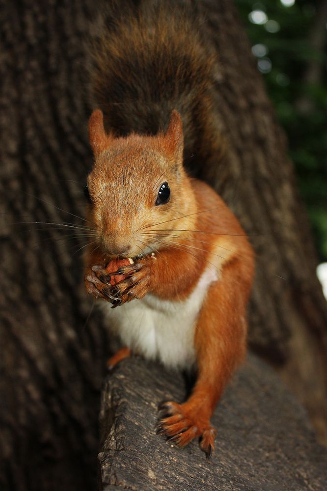 Photograph by Rimma Larkina