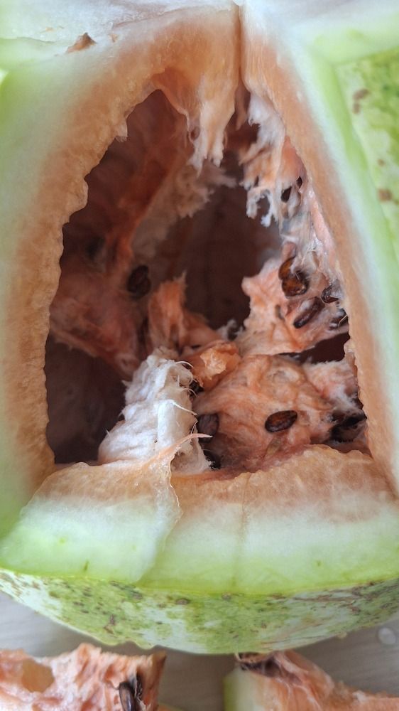 Photograph by Наталья Вялых