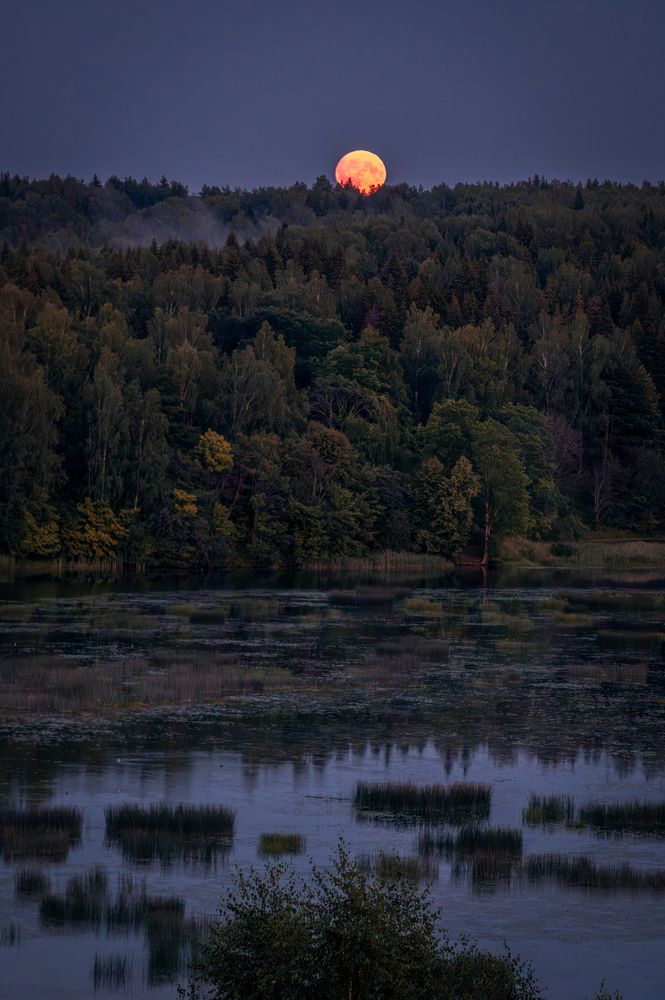 Photograph by Елена Ефимова