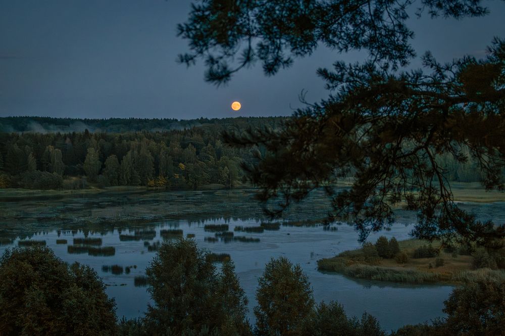 Photograph by Елена Ефимова