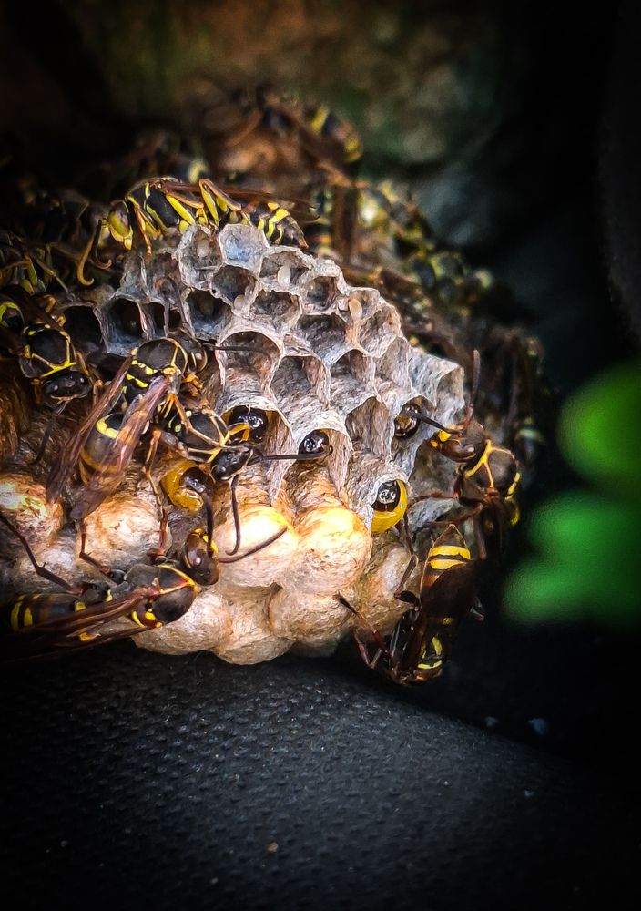 Photograph by Tatiana Kirillova