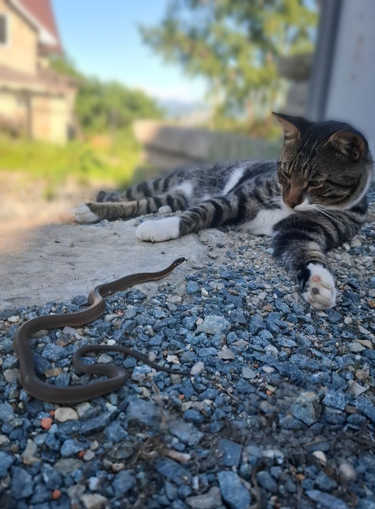 Photograph by Татьяна Кириллова