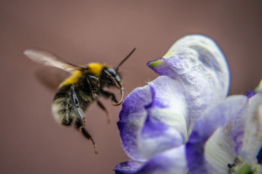 Photograph by Дмитрий Анисимов