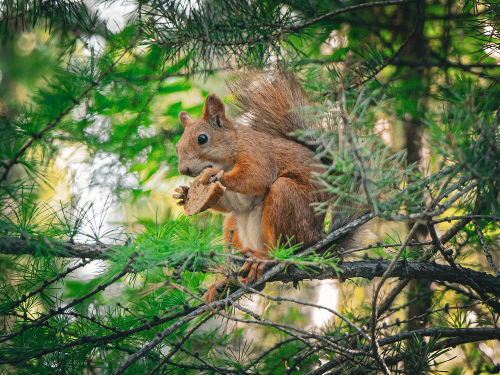 Photograph by Владимир Сушкин