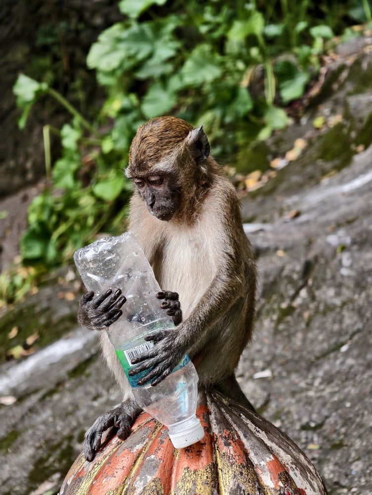 Фотография автора robot