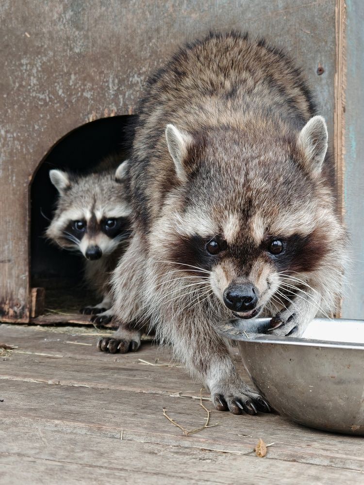 Photograph by Ольга