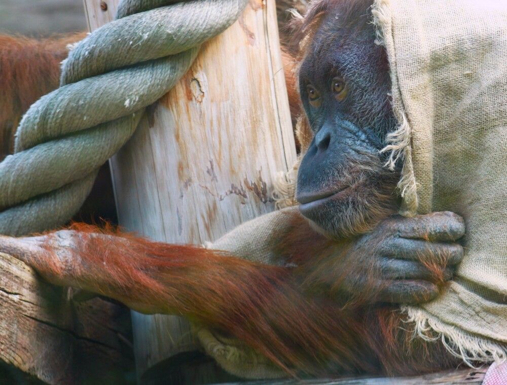 Photograph by Гагик Саркисян