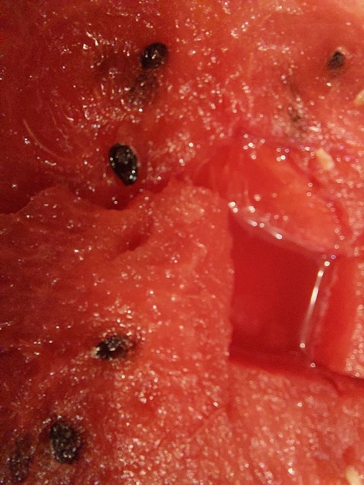 Фотография автора Анатолий Дячина