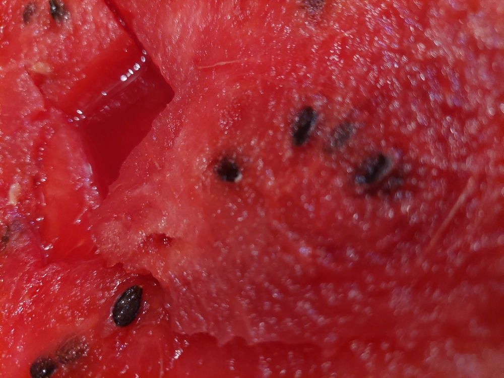 Фотография автора Анатолий Дячина