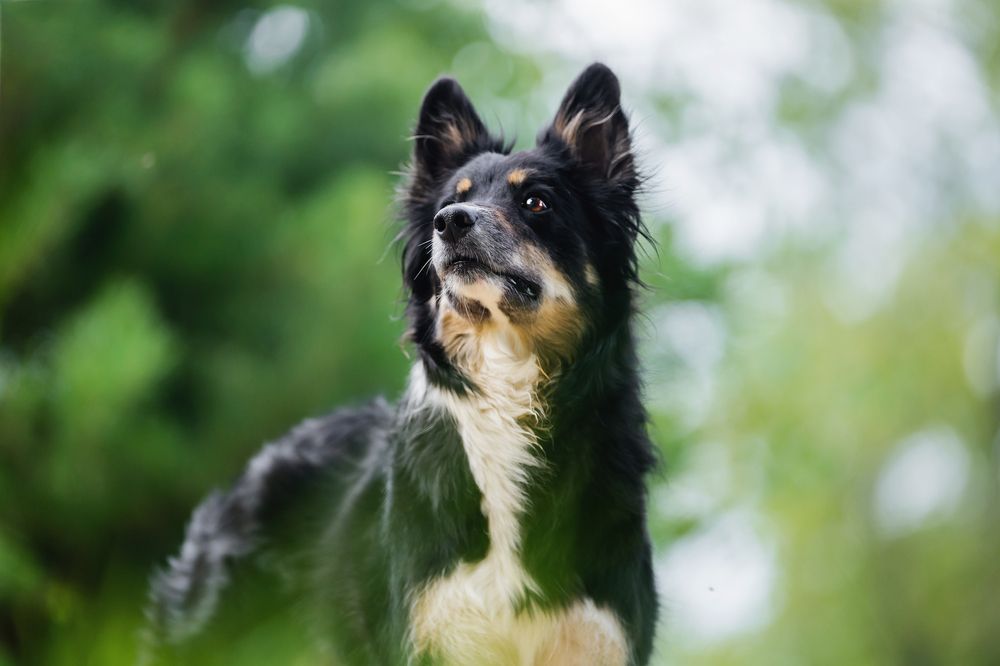 Фотография автора Юлия Бец