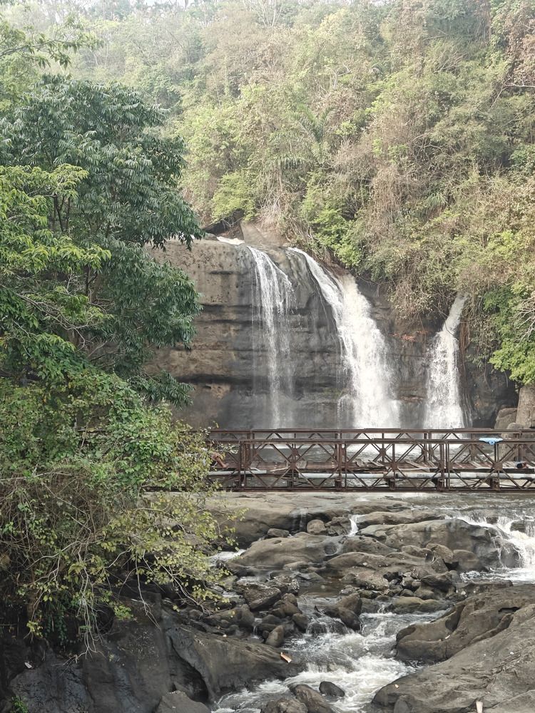 Photo #12456240