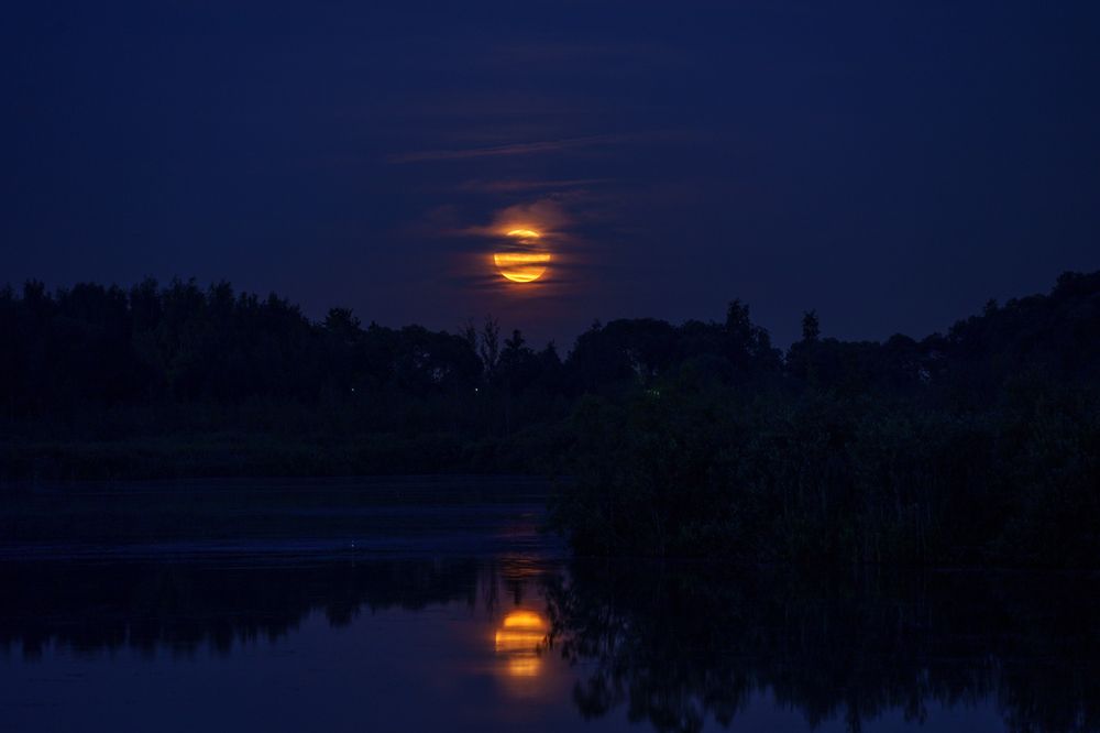 Photograph by Евгения Булычёва