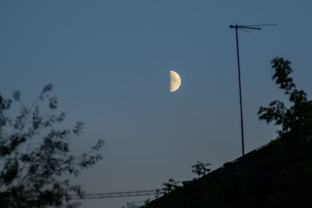 Photograph by Ivangelion [JS]