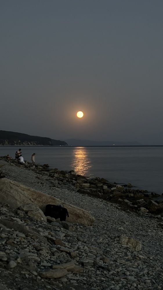 Photograph by Елена Гущина