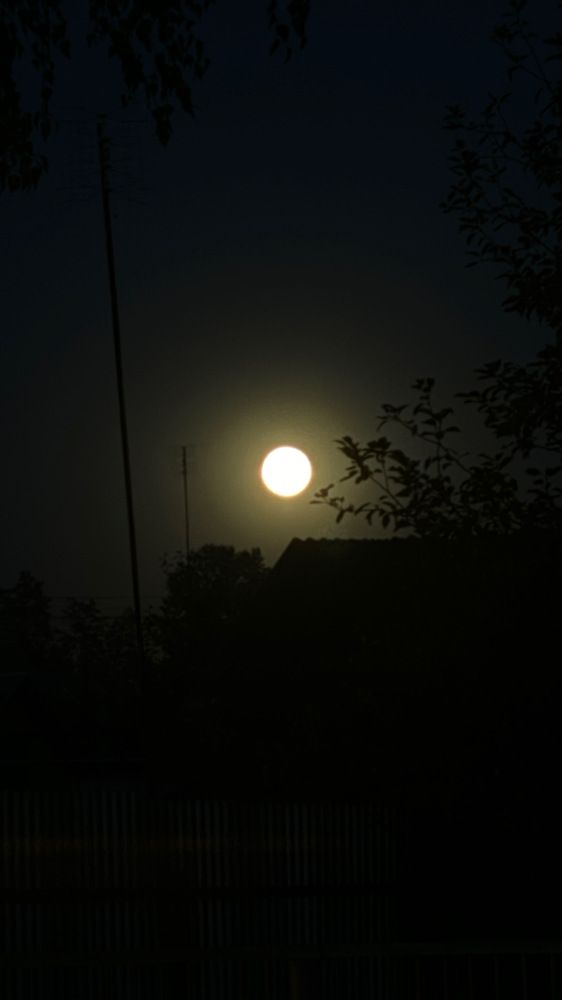 Photograph by Елена Гущина