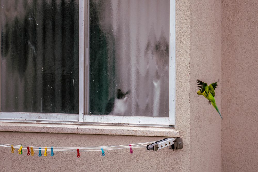 Photograph by Igor Shulkin