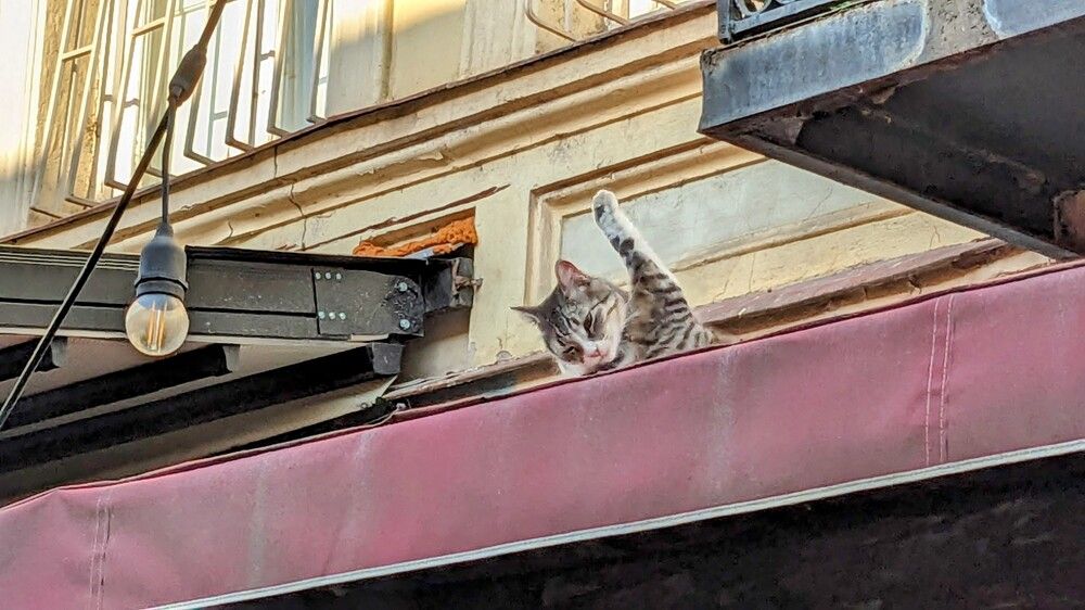 Photograph by Lilit Petrosyan