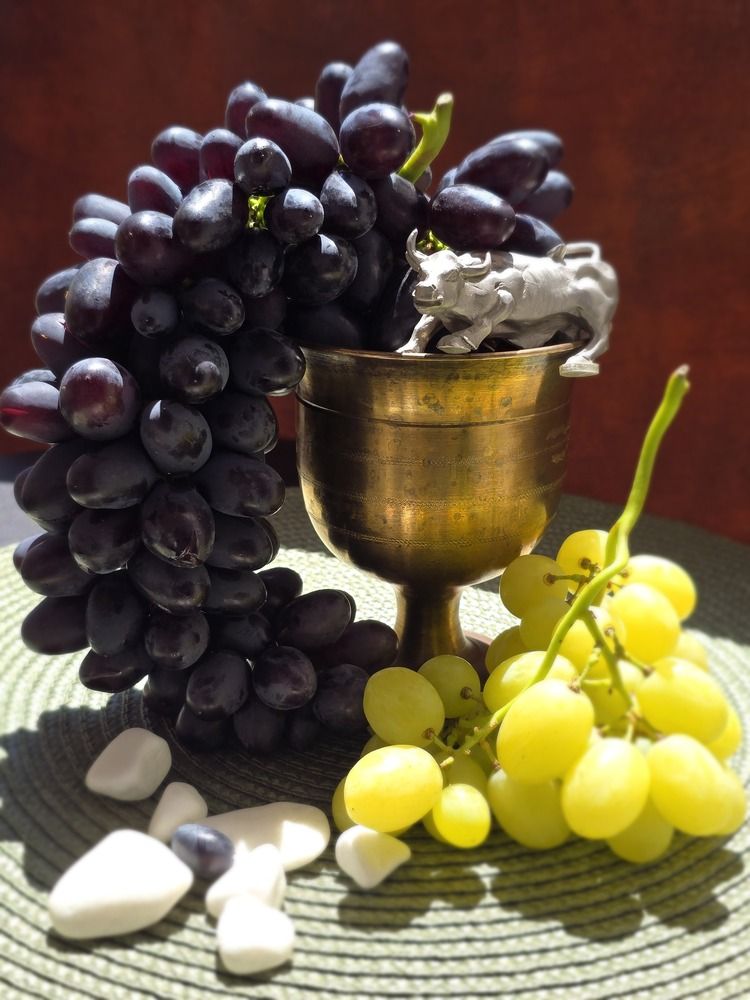 Raising a Toast to Strength and Sweetness