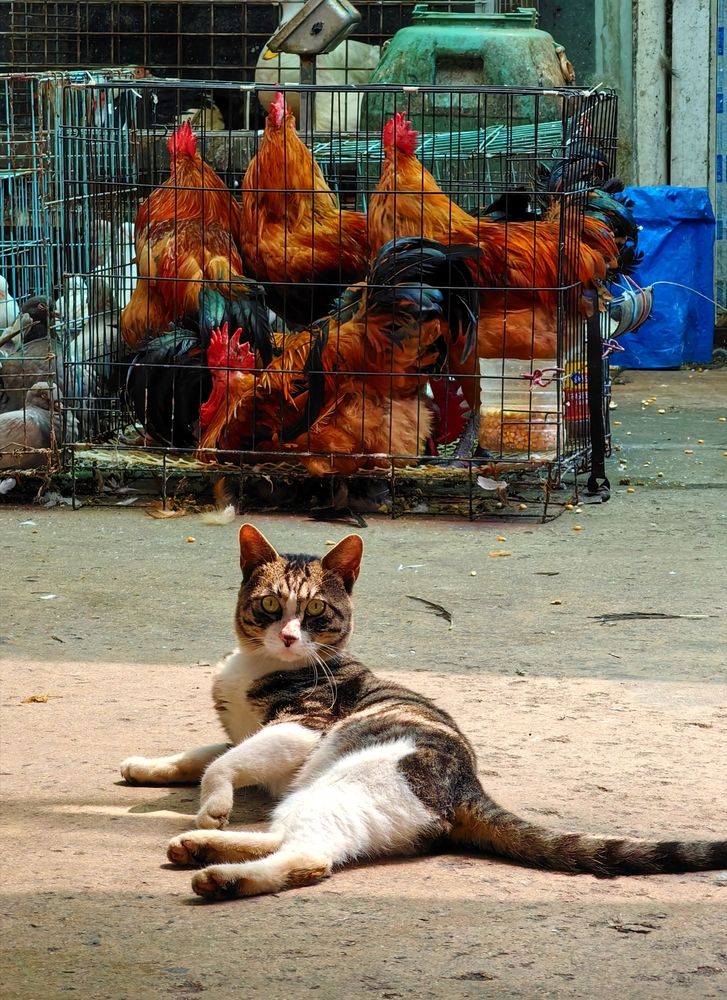 Photograph by Игорь Крыжко