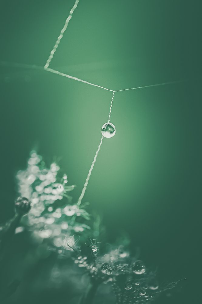 Photograph by Белокуров Сергей