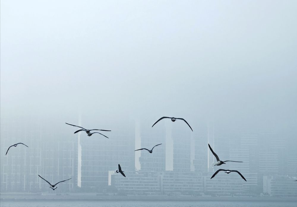 Photograph by Игорь Крыжко