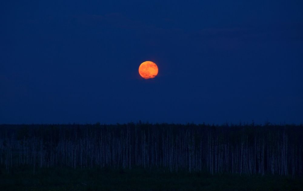 Фотография автора Илья К