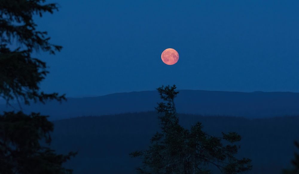 Photograph by Gurdina Lena