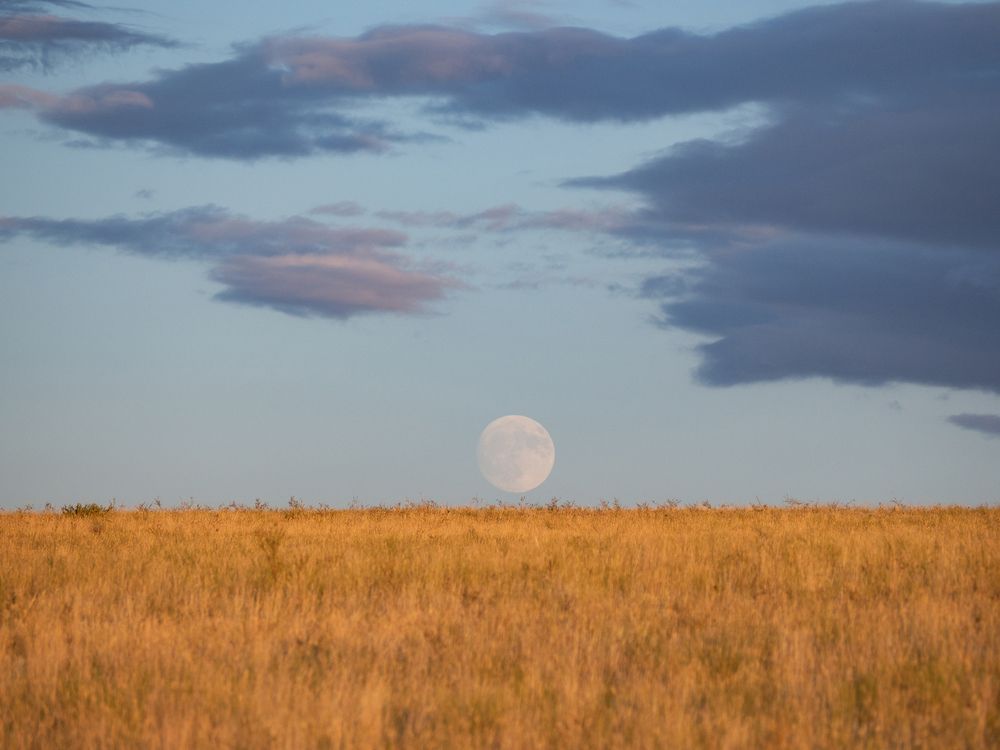 Photograph by Альберт Куулар