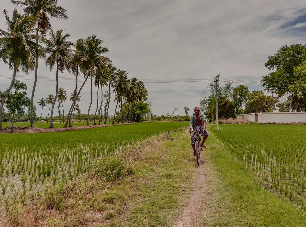 Photograph by Aadhisakthi Srinivasan