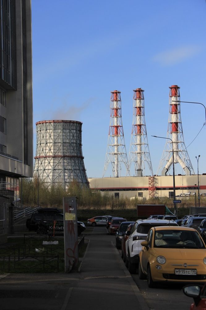 Фотография автора Эльза Завьялова